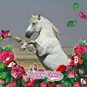 Meet your Posher, Kelli